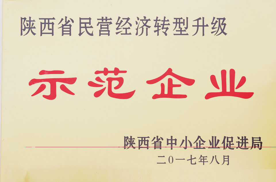 陕西省民营经济转型升级示范企业