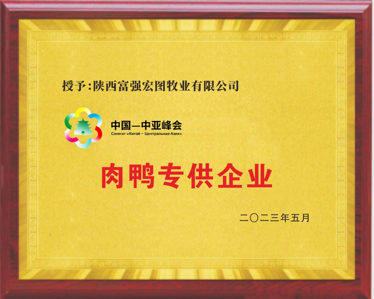 中国—中亚峰会肉鸭专供企业