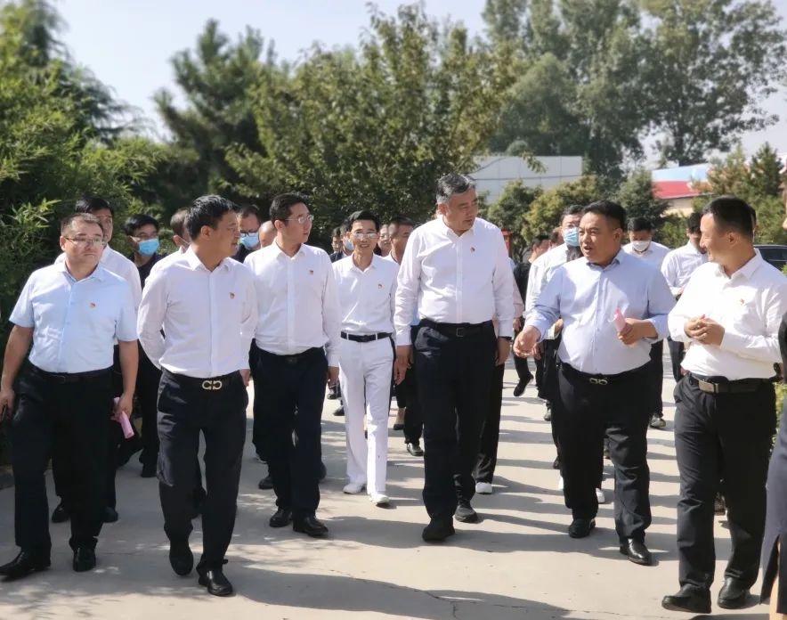 富强宏图 │ 大力助推乡村振兴