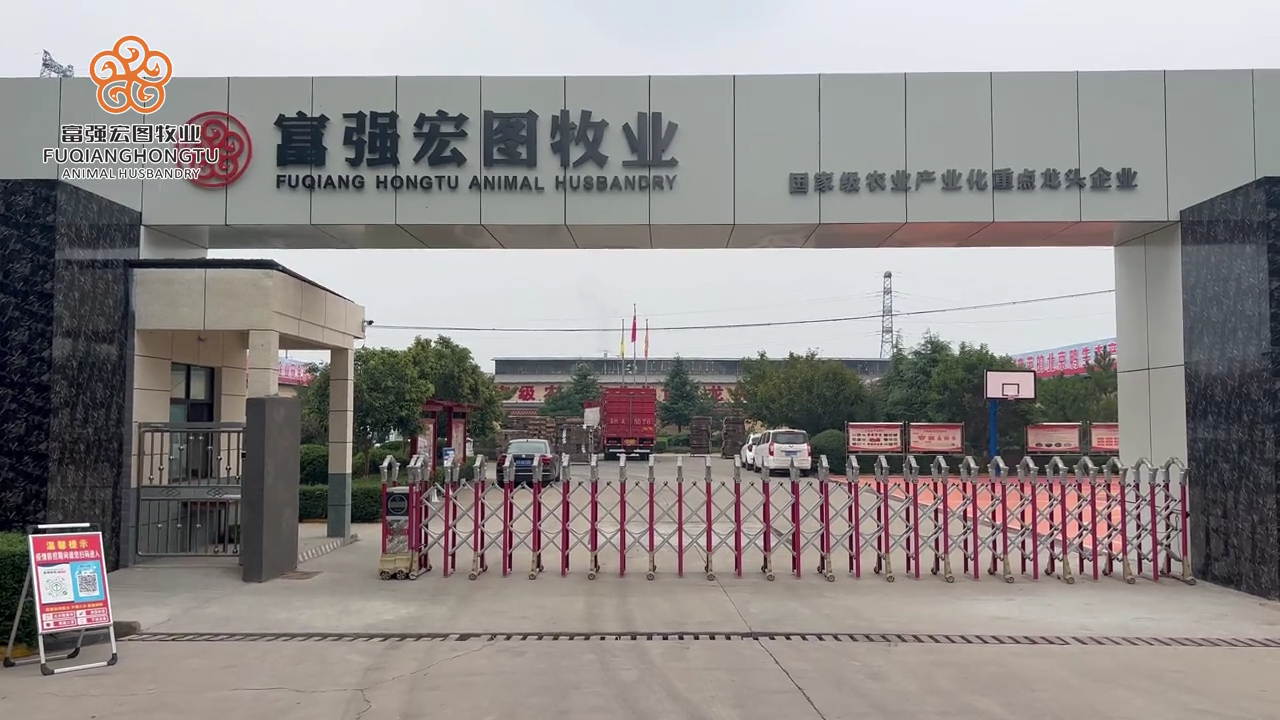 一路同行，不负久候。金牌好鸭，品质人生！