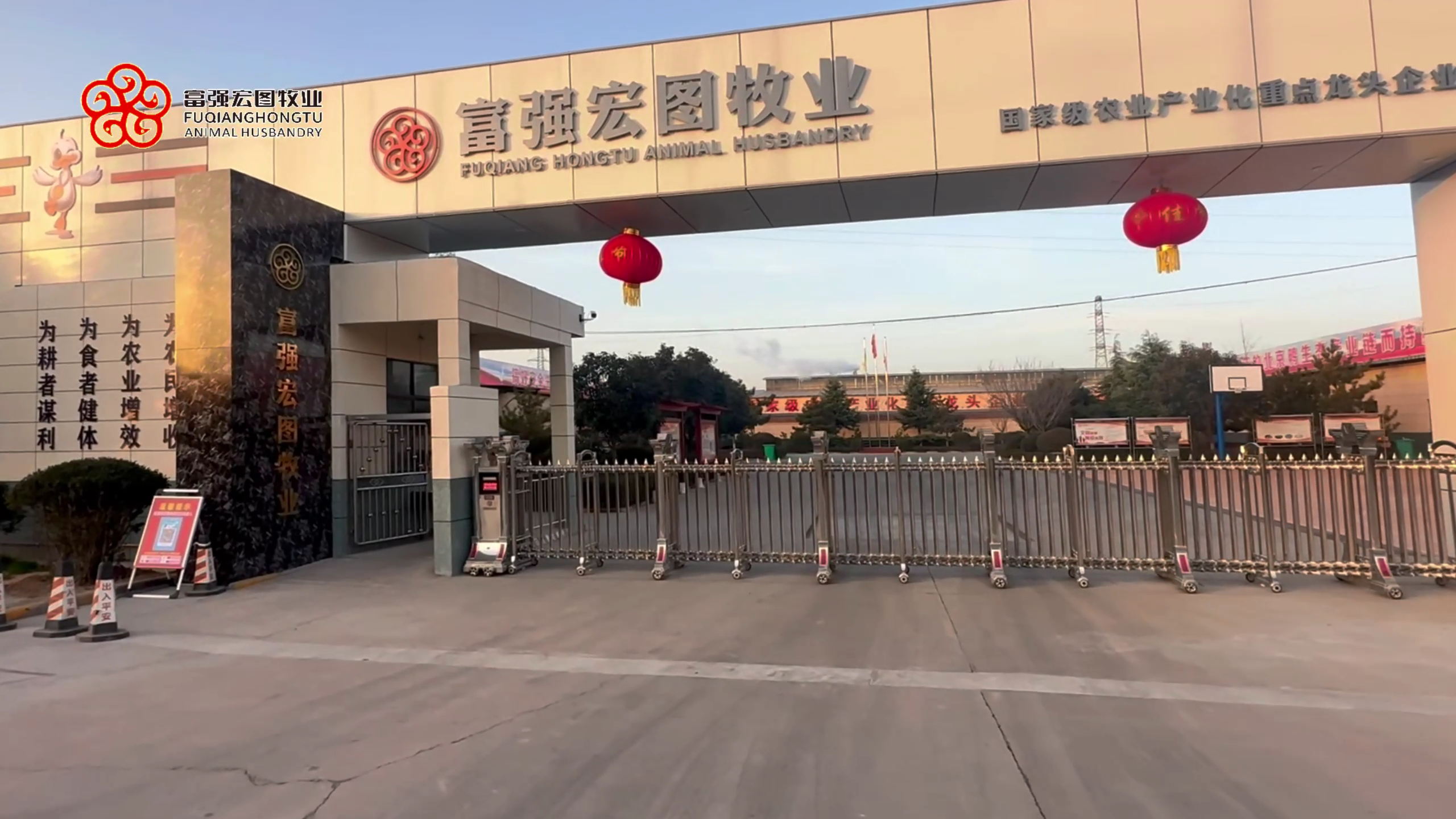 【探索工厂 走进富强】一镜到底，带您走进富强宏图牧业，感受真实工作环境