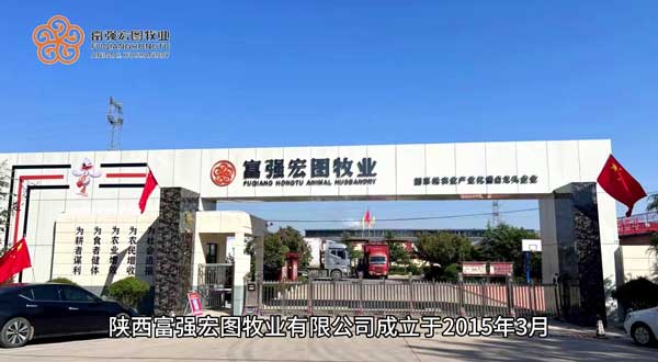 养富强鸭，致富万家!欢迎广大养殖爱好者前来公司参观、考察、洽谈填鸭养殖业务!