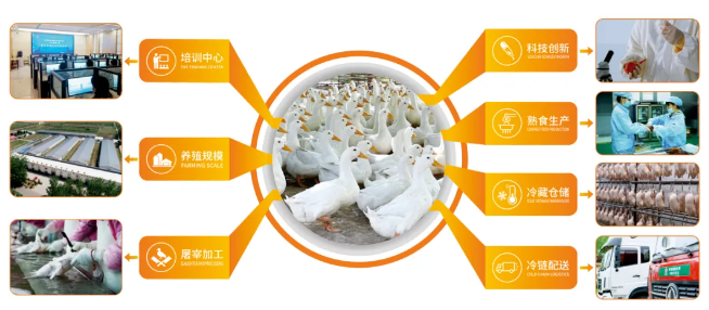 微信图片_20241129150042.png