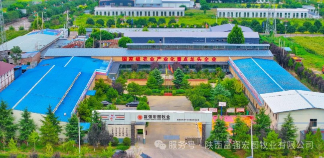 赏芝阳千亩桃花，探秘国家级龙头农企——富强宏图邀您共赴春日之约
