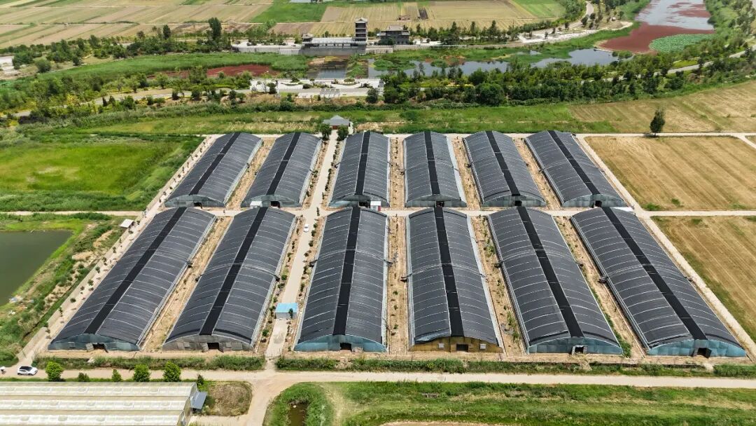 1770108386809499.jpg 2.jpg