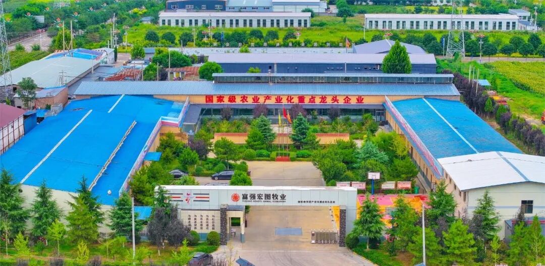 1770108912971533.jpg 9.jpg