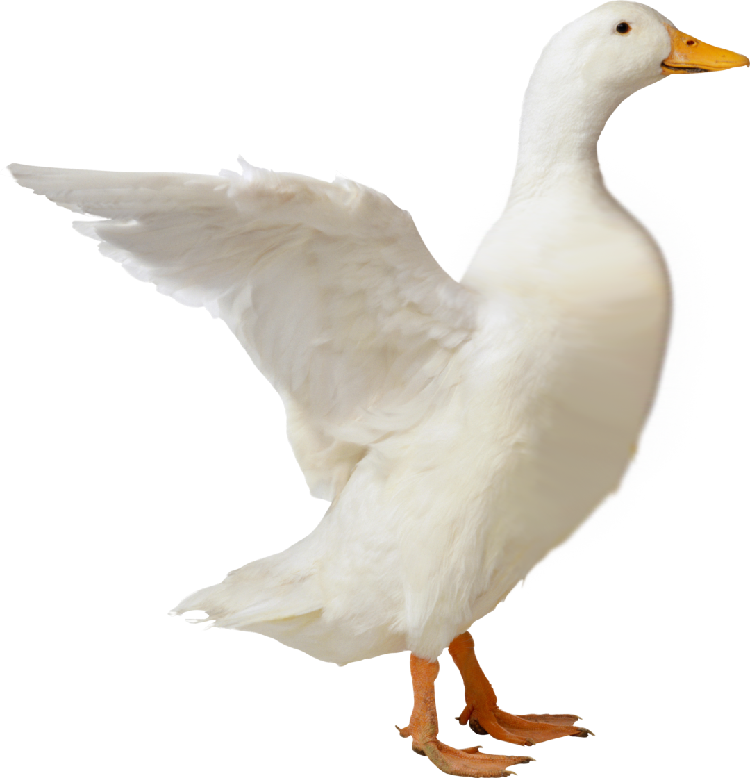 1779009538639301.png