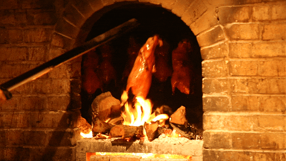 1788337889996763.gif 8.gif